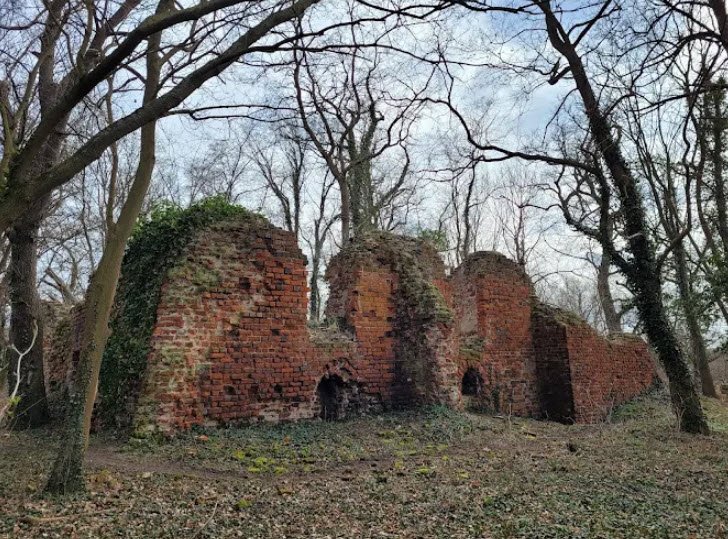 Ruiny Zamku Książęcego w Jelczu-Laskowicach, Jelcz-Laskowice, Poland, Poland